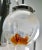 Clear Glass Pendant by Mazzega For Sale - Image 8 of 10