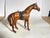 Horse Model in Leather For Sale - Image 12 of 14