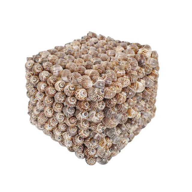 Textile Coastal Bali Shell Box Medium For Sale - Image 7 of 7