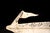 Nautical 1962 Century Coronado Boat-Shaped Painted Advertising Sign For Sale - Image 3 of 5