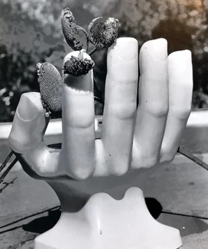 Naomi Savage Still Life Photograph of a Pedro Friedeberg Hand Chair Vintage Silver Gelatin Photograph, 1981