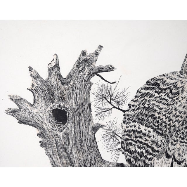 Great Horned Owl Sitting on a Branch - Illustration in Ink on Cardstock by M. Kochmaruk For Sale - Image 4 of 7