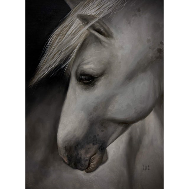 Penumbra by Che Leviathan | Oil on panel Portrait of a white horse's head. For Sale