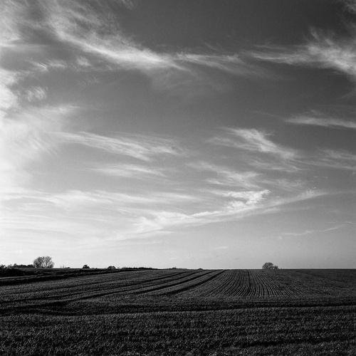 Paul Cooklin, Landscape, Edition of 50 For Sale - Image 4 of 4