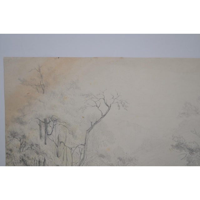 French School of the 20th Century. Pencil Drawing “tree Landscape” For Sale - Image 9 of 10