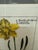 Early 21st Century Soicher-Marin Daffodil Botanical Art Print, Pair For Sale - Image 5 of 12