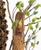 Thomas Scoon "Beekeeper" Art Glass Wall Sculpture For Sale - Image 11 of 16