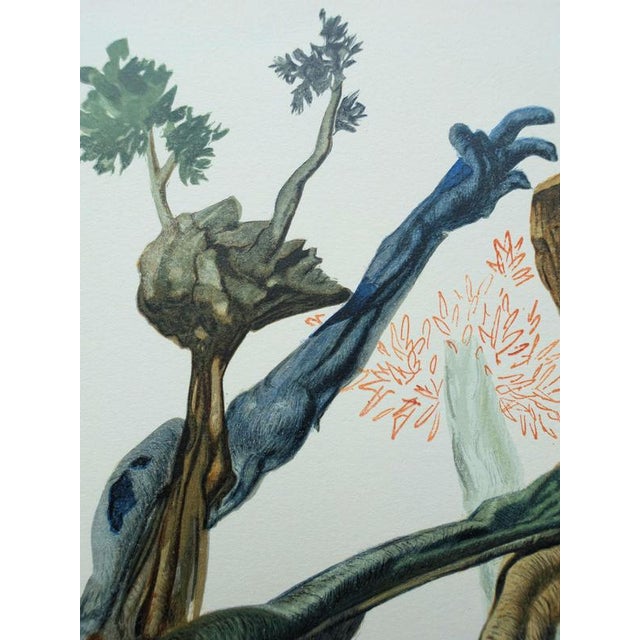 Salvador Dali, The Forest of Suicides, Woodcut For Sale - Image 4 of 8
