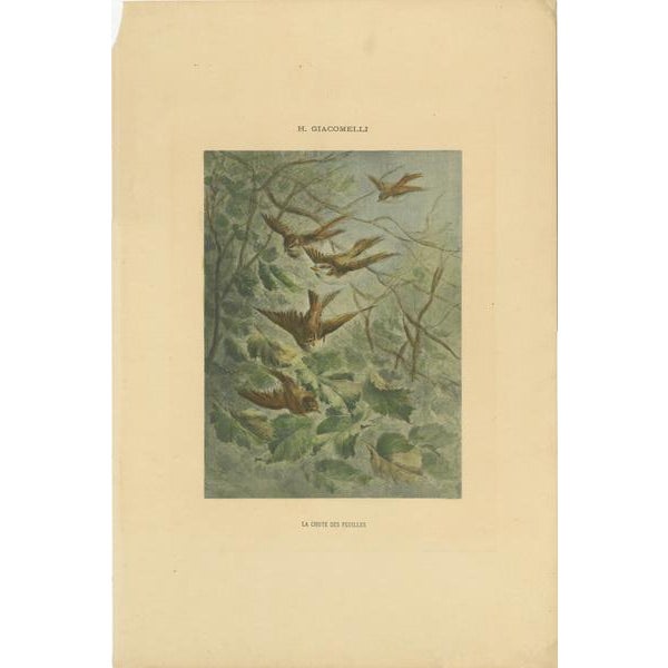 Autumn Flight - Giacomelli’s Sparrows in Falling Leaves, Circa 1891 This evocative print, titled "La Chute des Feuilles"...