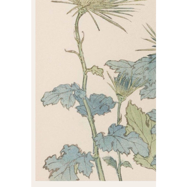 Two Wildflowers by Hasegawa, Vintage Japanese Botanical Art Print, 20" X 30" For Sale - Image 4 of 10