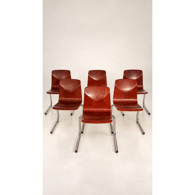 Vintage Chairs from Thur Op / Pagholz, 1960s, Set of 6 For Sale - Image 10 of 10