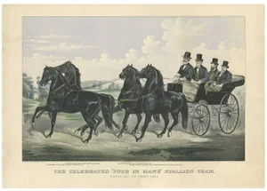 Horse the Four in Hand Stallion Team, 1875, Print