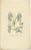 Anatomy Illustrations of Ligaments and Joints, 1839, Prints, Set of 13 For Sale - Image 13 of 15