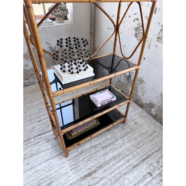 Rattan and Black Glass Bookcase, 1960s For Sale - Image 15 of 18