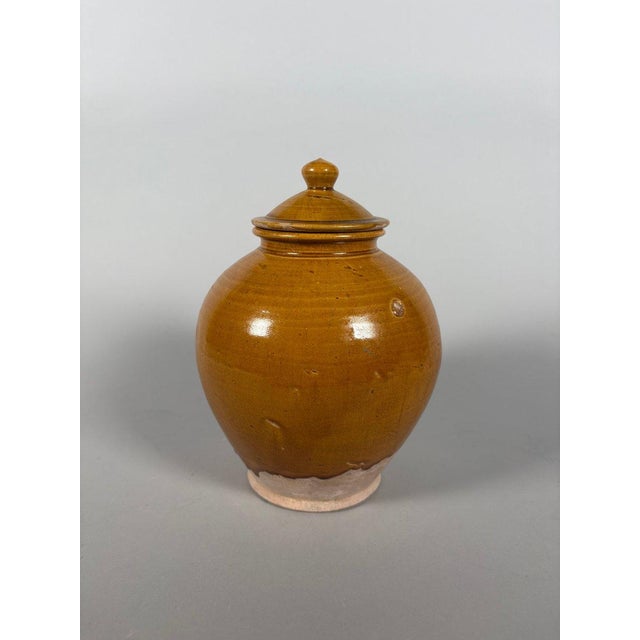 Covered terracotta vase with amber glaze, Tang Dynasty (618-907) For Sale - Image 4 of 5