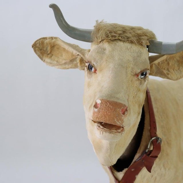 Antique German Clockwork Mechanism Automated Advertising Nodding Paper Mache Dairy Cow with Glass Eyes c1930 Measures - 19...