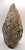 1950s Hand-Carved Shona Tribe Serpentine Stone Abstract Sculpture W. Sachiti For Sale In Miami - Image 6 of 12