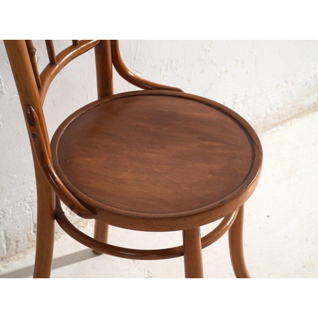 Bentwood Chairs in the style of Thonet, Central Europe, 1930, Set of 4 For Sale - Image 14 of 17