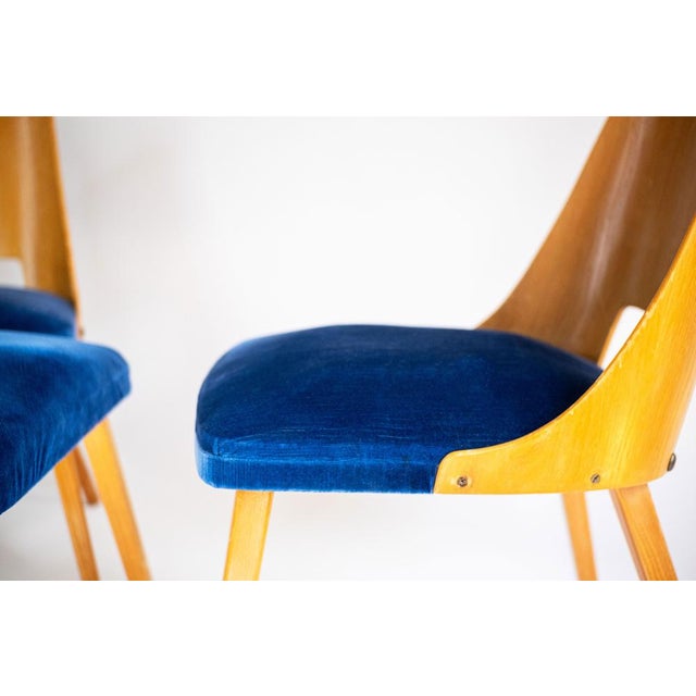 Mid-Century Dining Chair Set by Oswald Haerdtl, 1960s, Set of 3 For Sale - Image 6 of 7