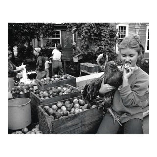 1980 Cider Farm Colville Washington Photograph For Sale