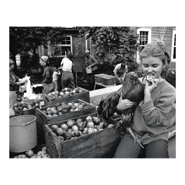 1980 Cider Farm Colville Washington Photograph For Sale