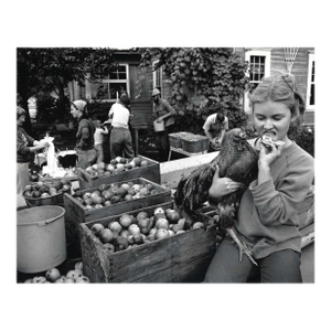 1980 Cider Farm Colville Washington Photograph