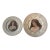Antique Cabinet Plates Featuring Victorian Women Portraiture For Sale