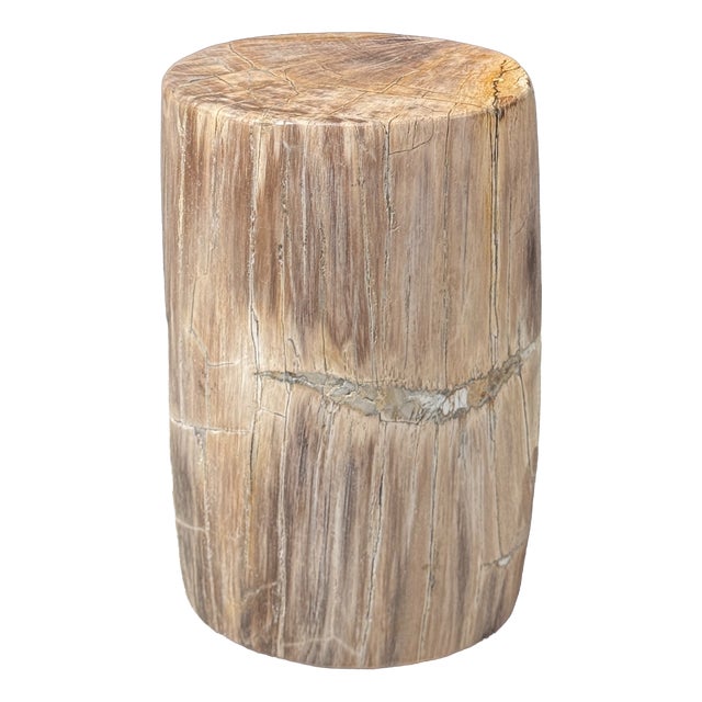 Small Side Table in Beige-Grey and Petrified Wood, 1980s For Sale