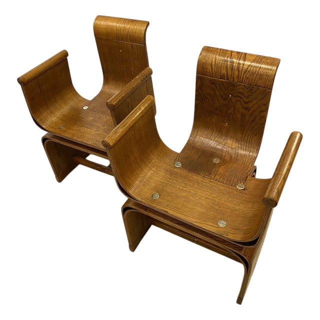 Set of Tulip Chairs in Bentwood, 1950 For Sale