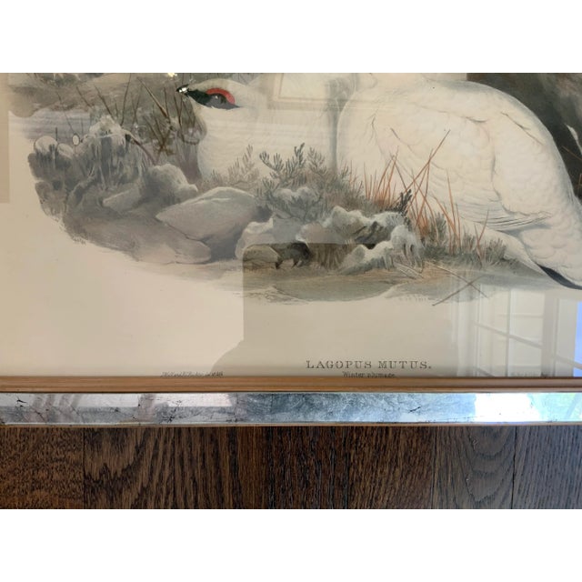 Late 19th Century Hand Colored Bird Prints in Vintage Mercury Frames- Set of 3 For Sale - Image 5 of 13