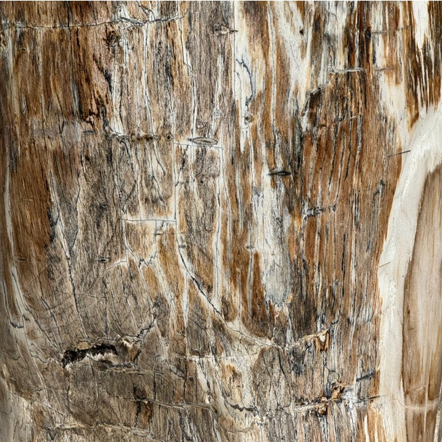 Large Side Table in White and Grey Petrified Wood For Sale - Image 9 of 18