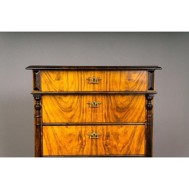 Brown Gründerzeit Chest of Drawers in Wood and Brass For Sale - Image 8 of 17
