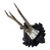 Roe Deer Trophy 173 Black Forest Antlers Mount For Sale