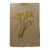 Henry Emil Salloch Original Watercolor on Paper Yellow Lilies, 1941. For Sale