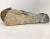 Mid 20th Century Soapstone Inuit Carving of Bear Attacking Walrus For Sale - Image 4 of 13