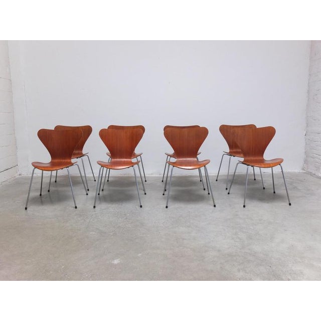 Series 7 Chairs in Teak by Arne Jacobsen for Fritz Hansen, 1955, Set of 8 For Sale - Image 3 of 17