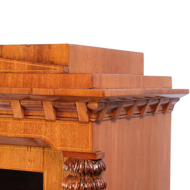 Brown Biedermeier Classicist Display Cabinet, Berlin, 1820 For Sale - Image 8 of 11