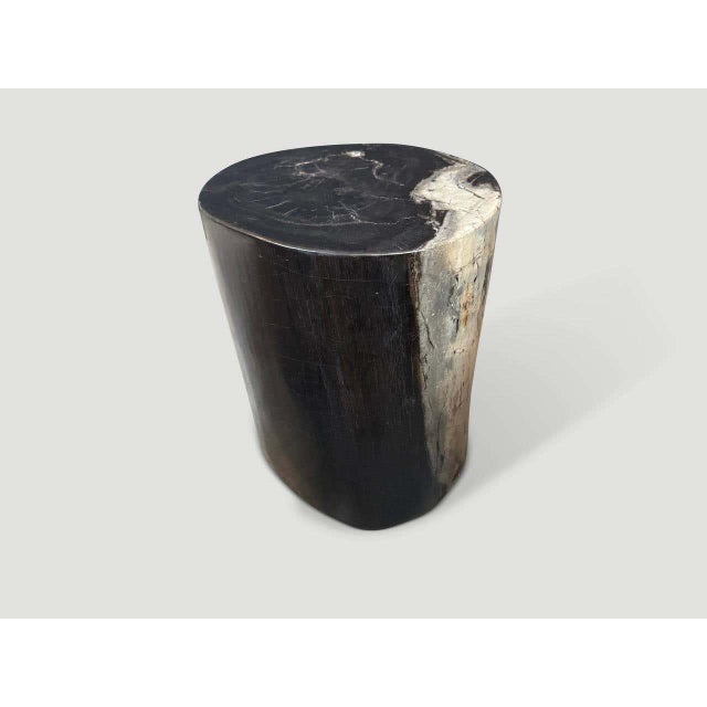 Andrianna Shamaris Impressive Ancient Petrified Wood Side Table For Sale In New York - Image 6 of 6