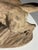 Ceramic Armand Fagotto, Lion, Terracotta For Sale - Image 7 of 18