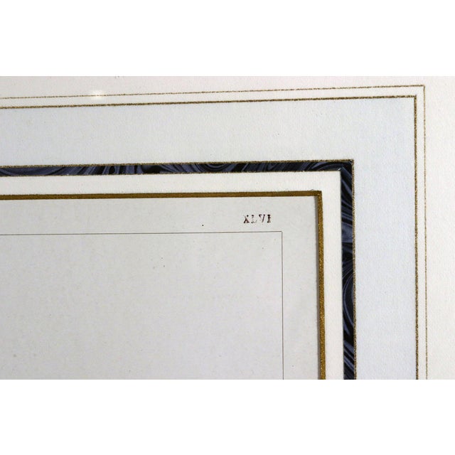 Édouard Garnier Lithograph of Sèvres Porcelain Vase Garniture Circa 1892 For Sale In Philadelphia - Image 6 of 8