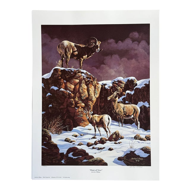 "Point of View" 1992 Jocelyn Lillpop Russell Le Signed Numbered Big Horn Sheep Wildlife Print For Sale