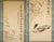 Lovely vintage Japanese monochrome watercolor scroll painting "Duck", signed and sealed by artist. In Japanese culture...