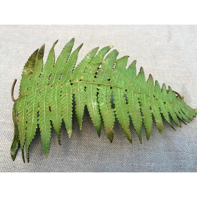 Art Deco Antique Austrian Geschutzt Signed Bronze Cold Painted Pheasant Bird Fern Figure For Sale - Image 3 of 13