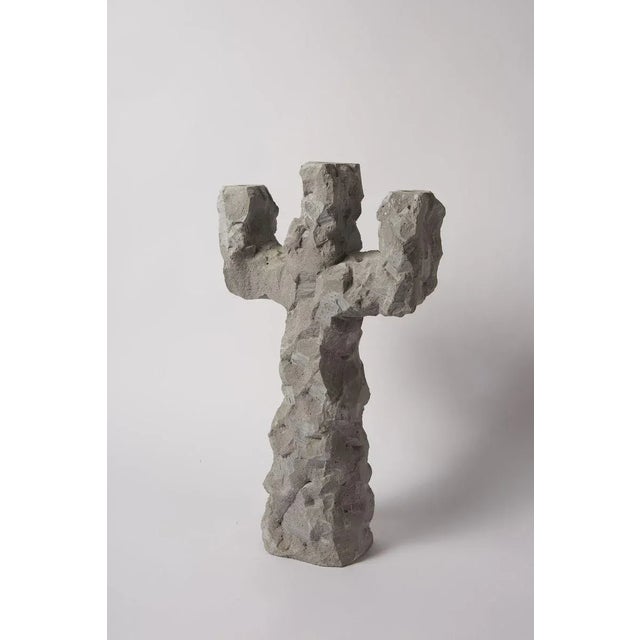 Cactus by Room-9 For Sale - Image 4 of 4