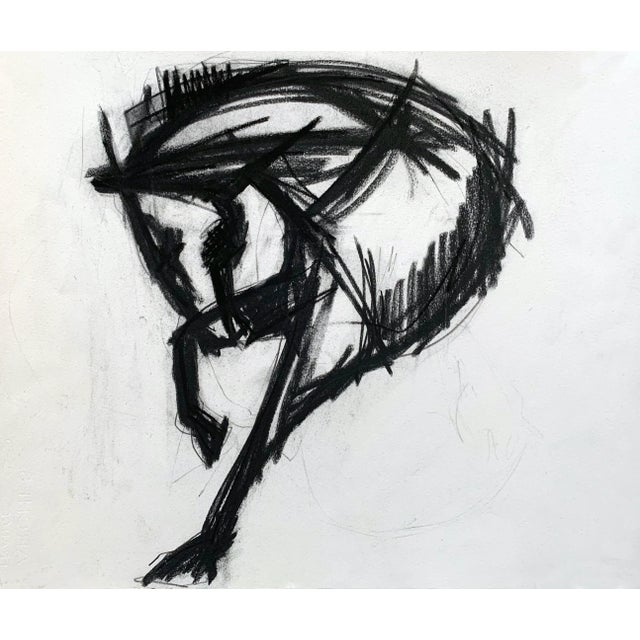 This series of portraits of the horse is a reflection of our time, finding comfort and beauty in loss or missing something...