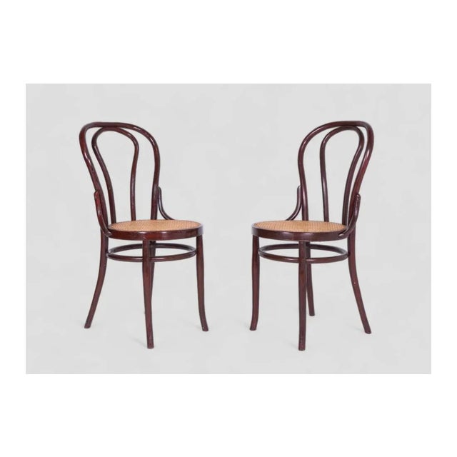 Vintage Sl N8 Chairs, Set of 4 For Sale - Image 5 of 8