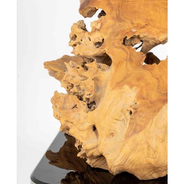 Dale Zarrella Portrait Driftwood Sculpture, 1996 For Sale - Image 10 of 18