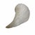 Mid 20th Century Vintage Large Lightning Welk Shell For Sale - Image 5 of 8