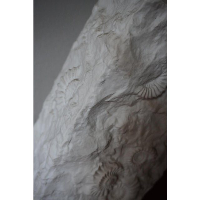 Vintage German Vases with Fossil Design in Biscuit Porcelain from AK Kaiser, 1960s, Set of 5 For Sale - Image 15 of 18