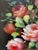 Peter Brooks, Still Life of a Vase of Pink Roses, 1960s, Oil on Canvas For Sale - Image 7 of 13